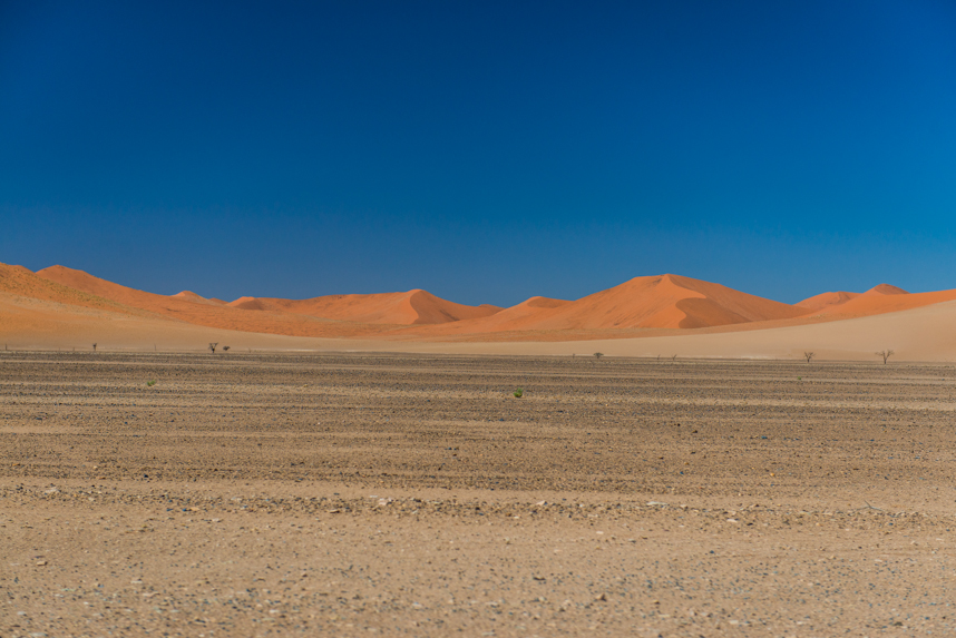 Namib o świcie
