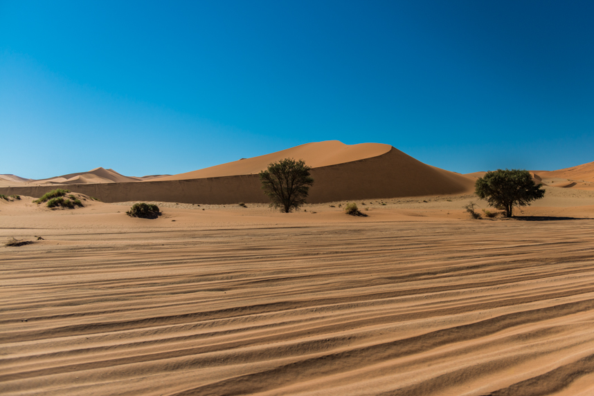 Wschód Słońca na pustyni Namib