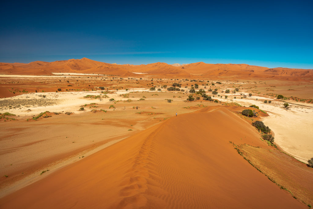 Pustynia Namib Namibia Co Zobaczyć Jak Zwiedzać Poradnik Paweł Gluza 3687